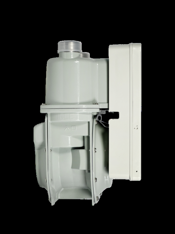 STS সার্টিফাইড প্রিপেইড গ্যাস মিটার - সুনির্দিষ্ট মিটারিং, অ্যান্টি-টেম্পারিং, মাল্টি-চ্যানেল রিচার্জ সমর্থিত