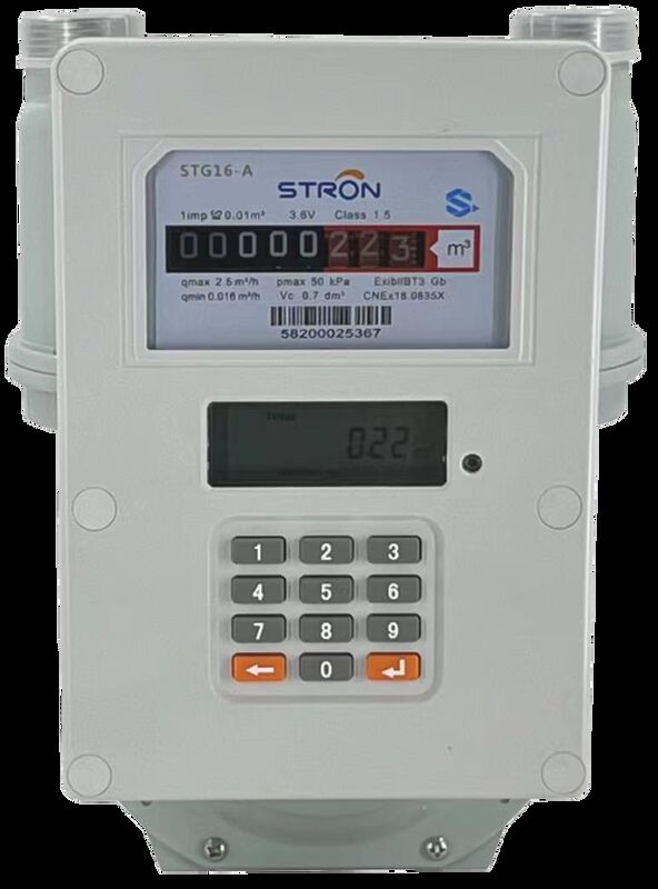 GAS METER Factory Input Fuel Consumption Measurement Device The Ultimate Solution for Fuel Management