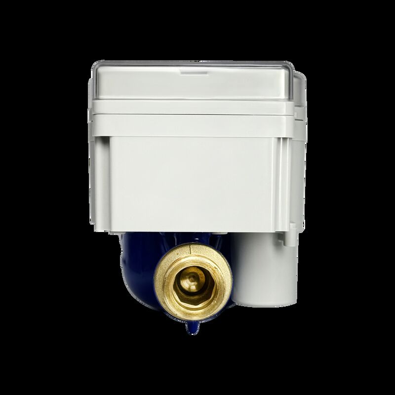 স্মার্ট প্রিপেইড ওয়াটার মিটার (এসটিএস স্ট্যান্ডালিয়ার্ড) ওডিএম / ওএম কাস্টমাইজযোগ্য ক্লিয়ার মেকানিক্যাল ডিসপ্লে (অ্যান্টি-মেগ) বিদ্রোহী ব্রাস ওয়াটার