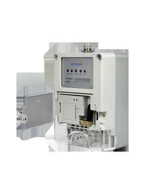স্মার্ট মিটারের জন্য LoRa-RF ডেটা কনসেনট্রেটর গেটওয়ে (300 ইউনিট, জিপিআরএস, 433/915MHz, IP54)