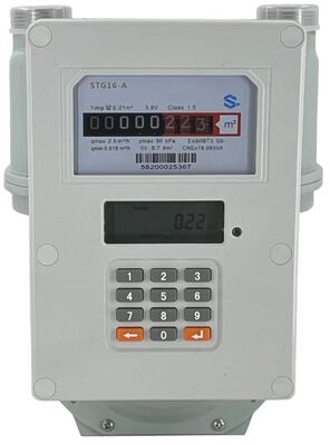 Measurement Range 0-9999 M³ LoraWan Smart Gas Meter Using LoRaWAN Communication Mode for Industrial Gas Usage Monitoring